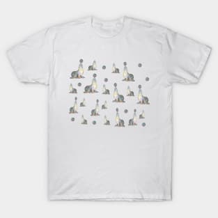 seals playing T-Shirt